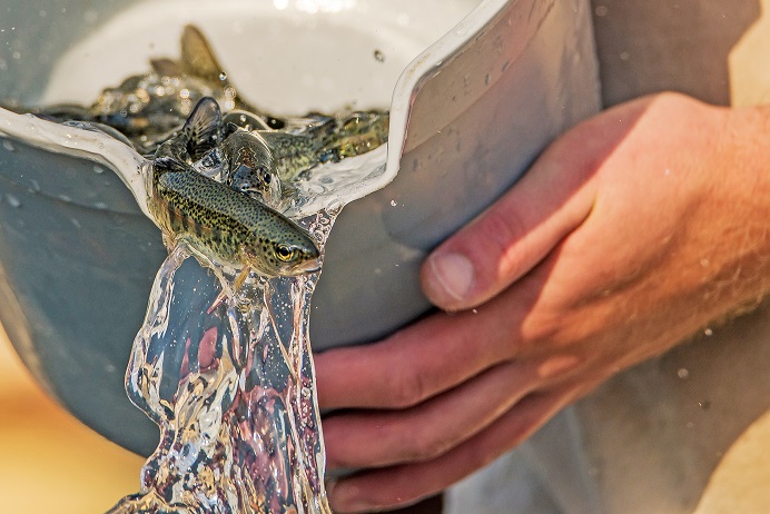 aquaculture_hafl